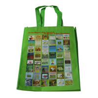 沙坪坝LB11覆膜无纺布广告袋